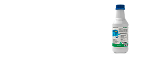 Fitosanidad